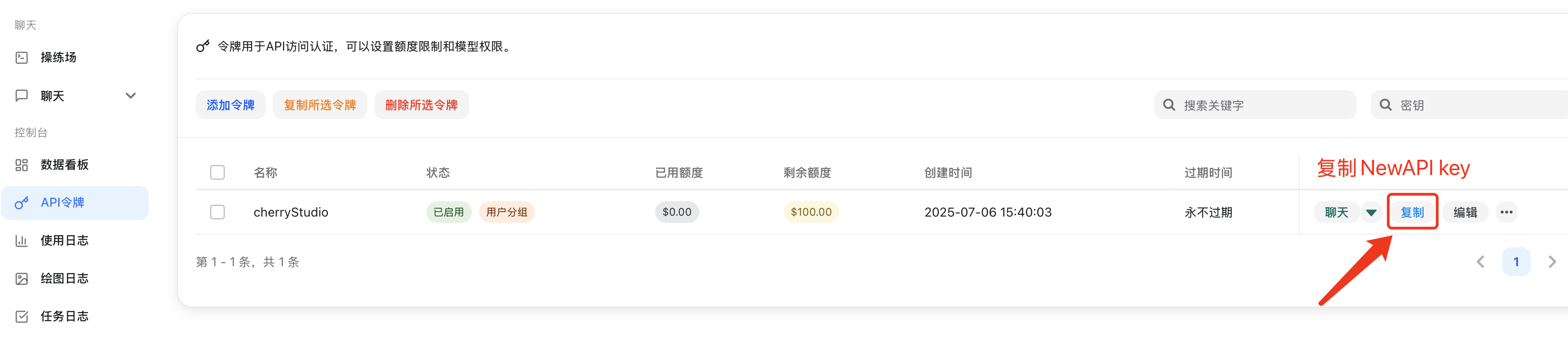 在令牌管理页复制 Cherry Studio 使用的 API Key