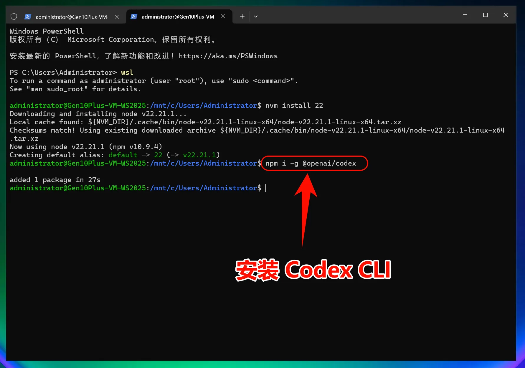 Windows 安装 Codex CLI