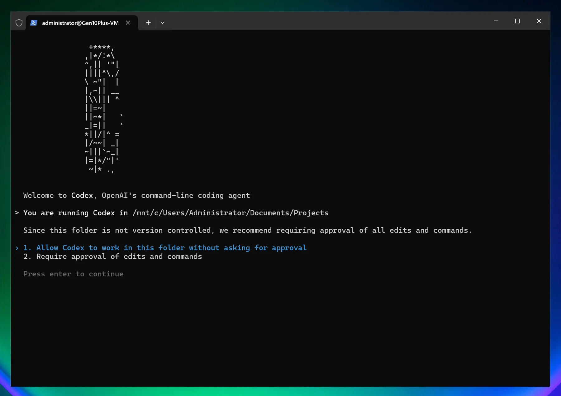 Windows 确认 Codex 工作区