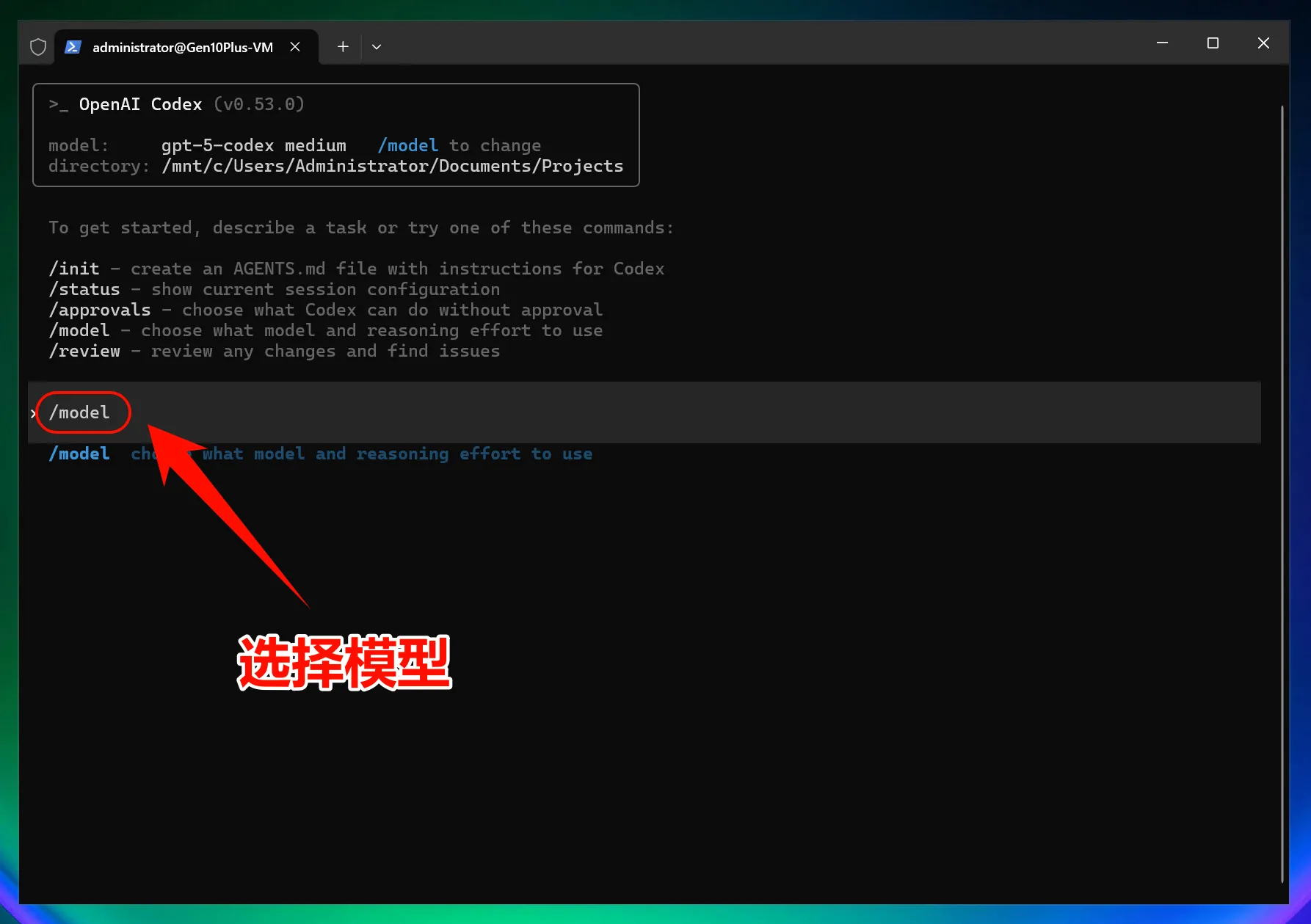 Windows 选择 Codex 权限模式