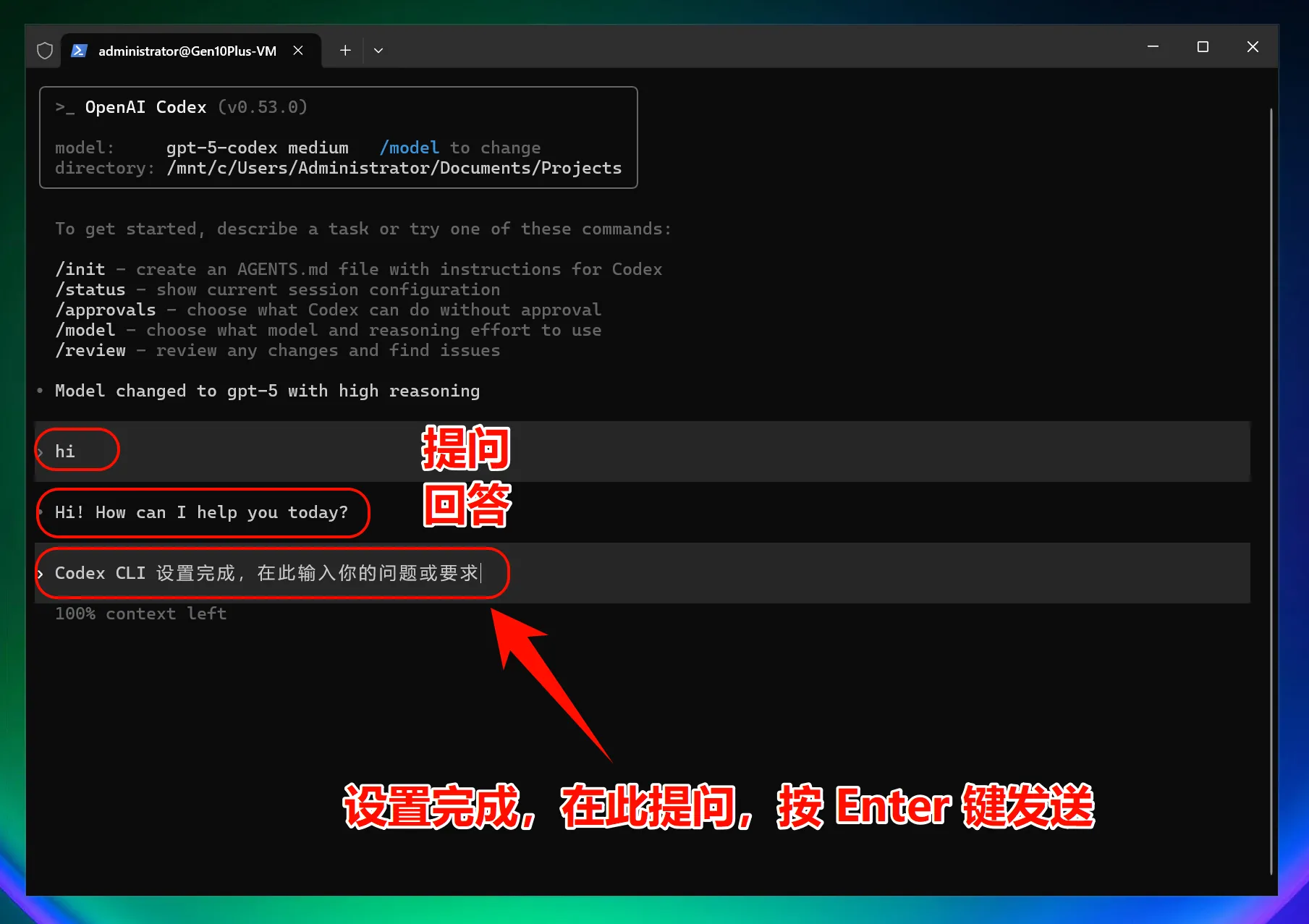 Windows 完成 Codex CLI 测试