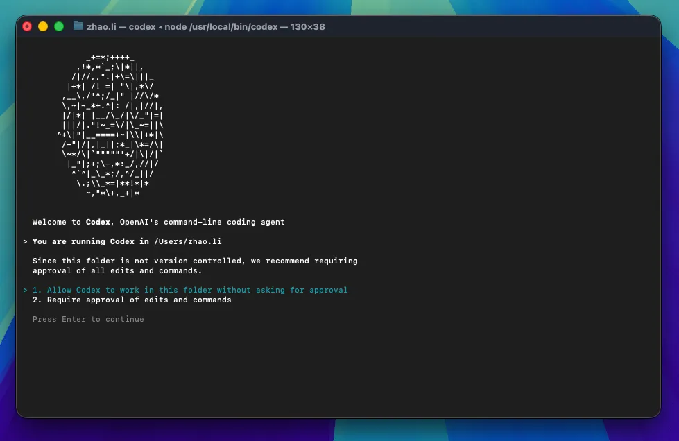 macOS 确认 Codex 工作区